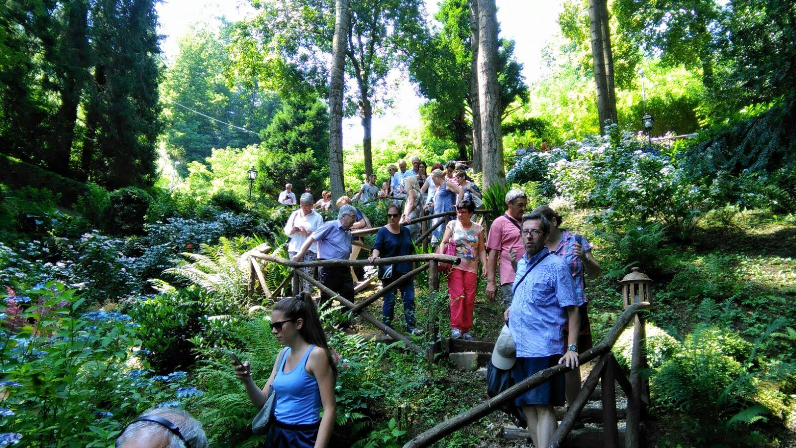 Giornata delle ortensie a Villa Piaggio - Masone