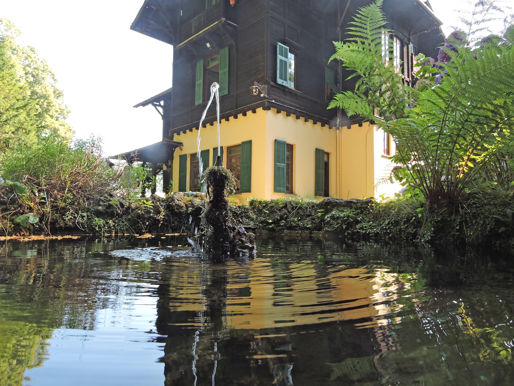 Giornata delle ortensie a Villa Piaggio - Gianni Ottonello