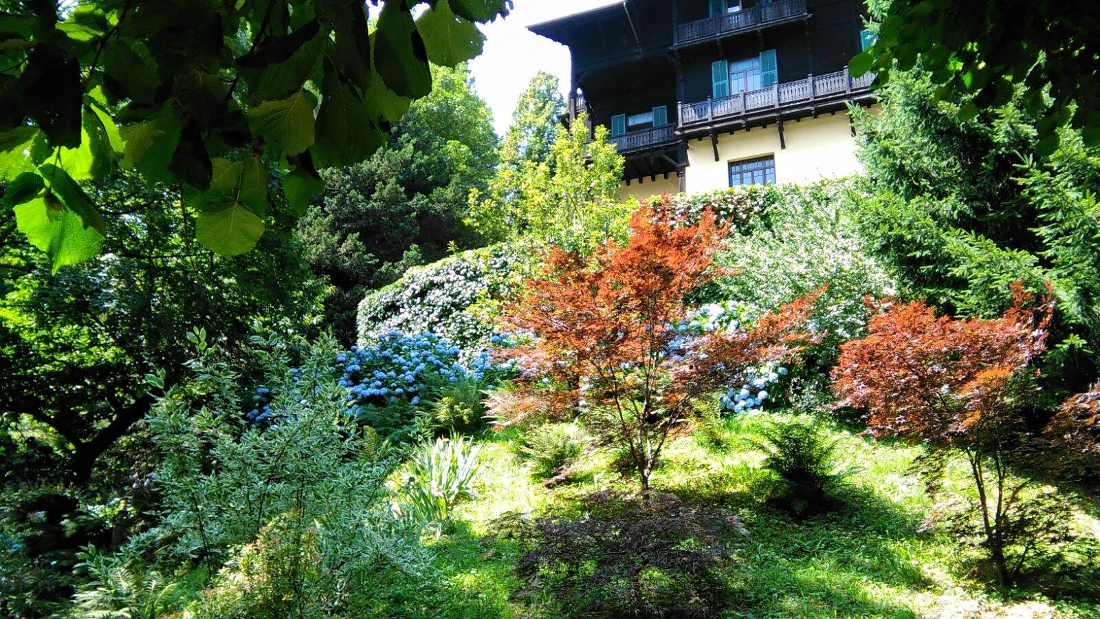 Giornata delle ortensie a Villa Piaggio - Masone