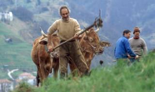 Tempo di concimatura dei prati e dei campi - Foto di Gianni Ottonello