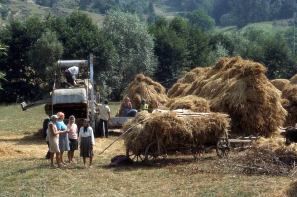 Ricordi d'estate - Foto di Gianni Ottonello