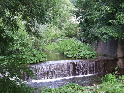 Rossiglione, torrente Berlino - Foto di Roberto Narducci