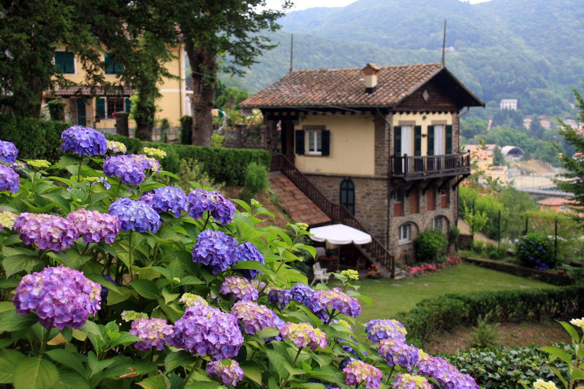 Giornata delle ortensie