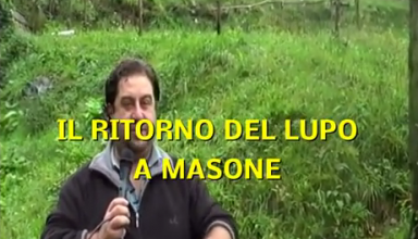 Il Ritorno del lupo a Masone