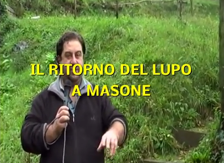 Il Ritorno del lupo a Masone