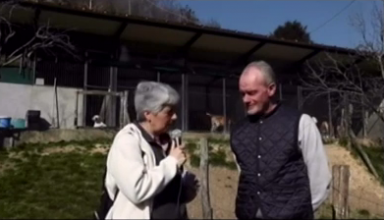 Allevamento cani a Campo Ligure