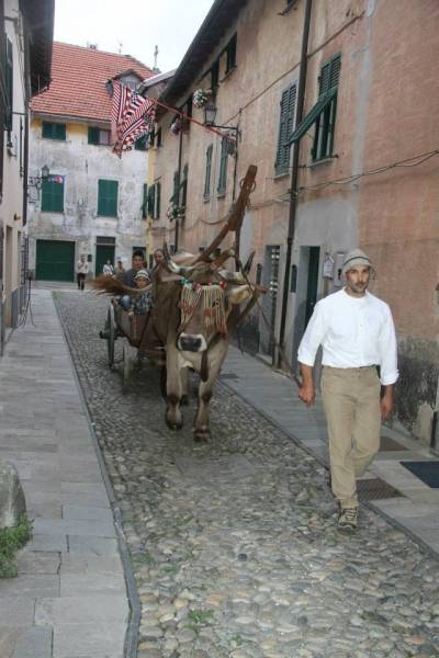 Falò di San Giovanni Battista 2014 - Foto di Tommy Pittaluga