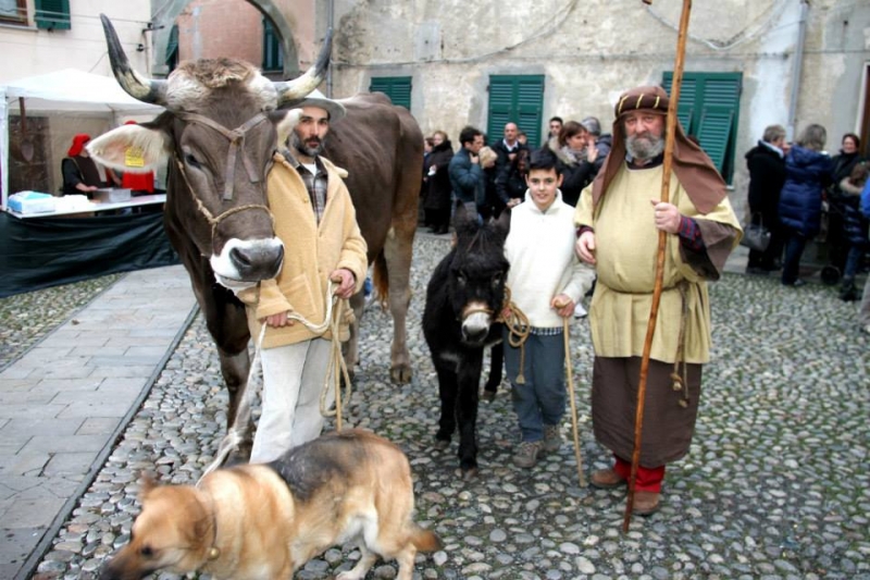 Presepe vivente a Masone 2014 - Foto di Tommy Pittaluga