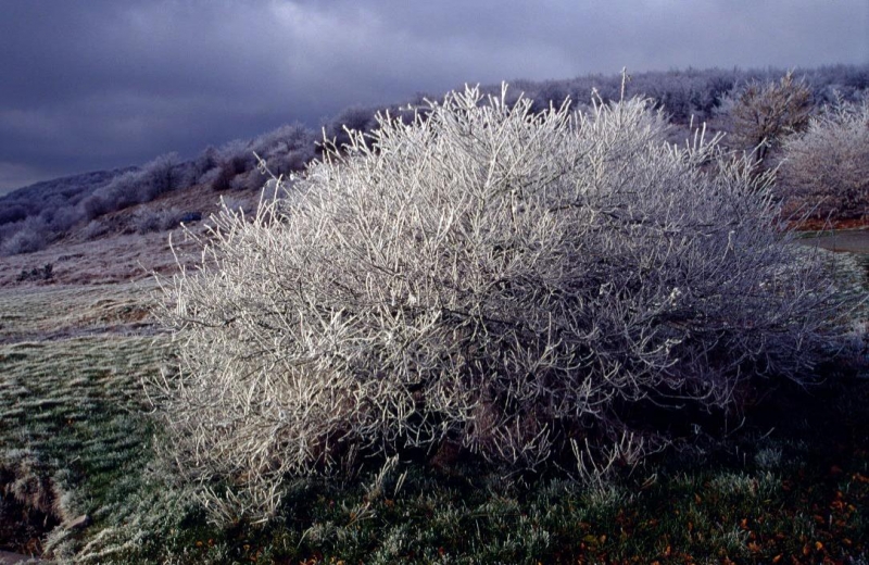 Anche l'inverno a suo modo... Foto di Gianni Ottonello