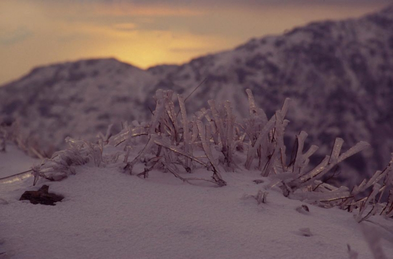 Anche l'inverno a suo modo... Foto di Gianni Ottonello