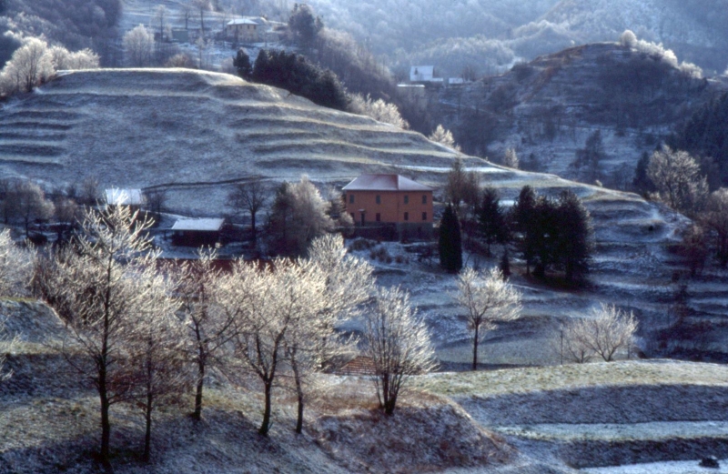 Anche l'inverno a suo modo... Foto di Gianni Ottonello