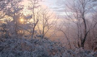 Inverno - Foto di Gianni Ottonello