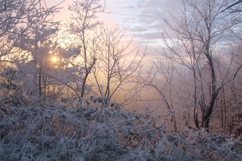 Inverno - Foto di Gianni Ottonello