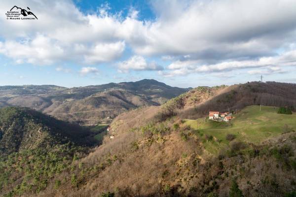 Cascina Albarina - Mauro Leoncini