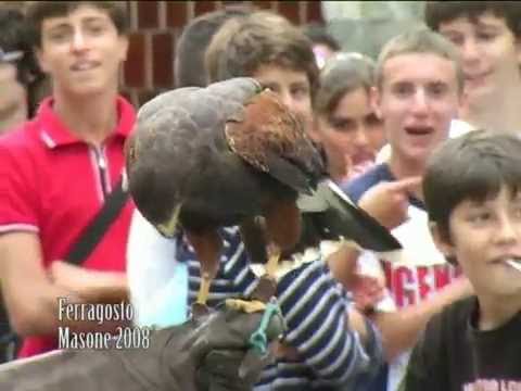 Falconieri a Masone