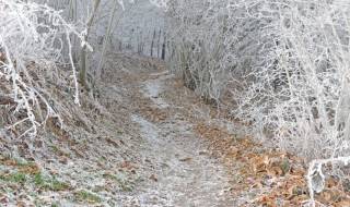 Galaverna al passo del Faiallo - Gianni Ottonello